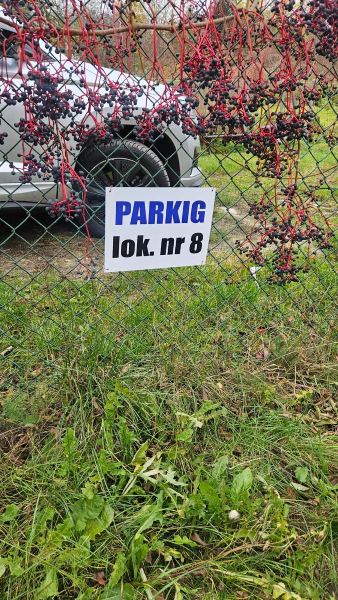 Spokojne I Mile Miejsce Na Mazurach, Nowe Po Remoncie * Kętrzyn